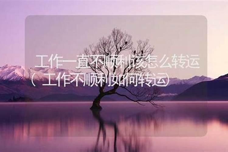 属虎男2025年全年运势每月运势