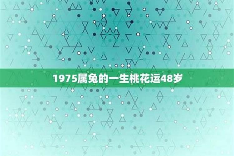75年兔2025年运势和财运怎么样