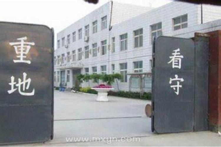 2024本命年属龙可以出远门吗