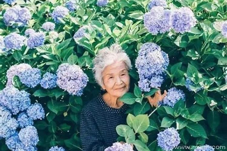 梦见奶奶被人杀啦的预兆