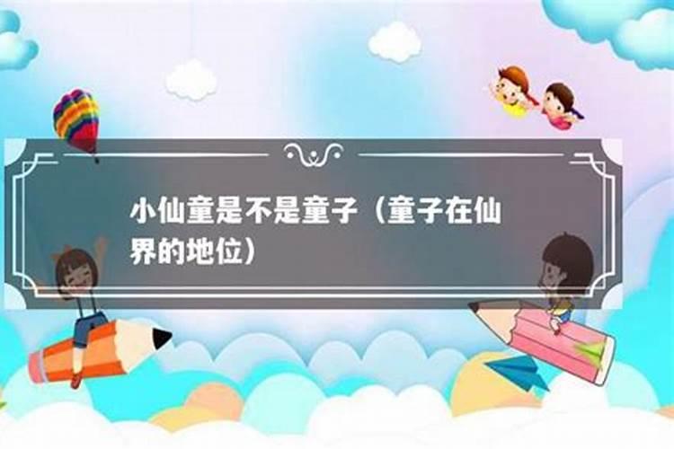 童子命什么意思