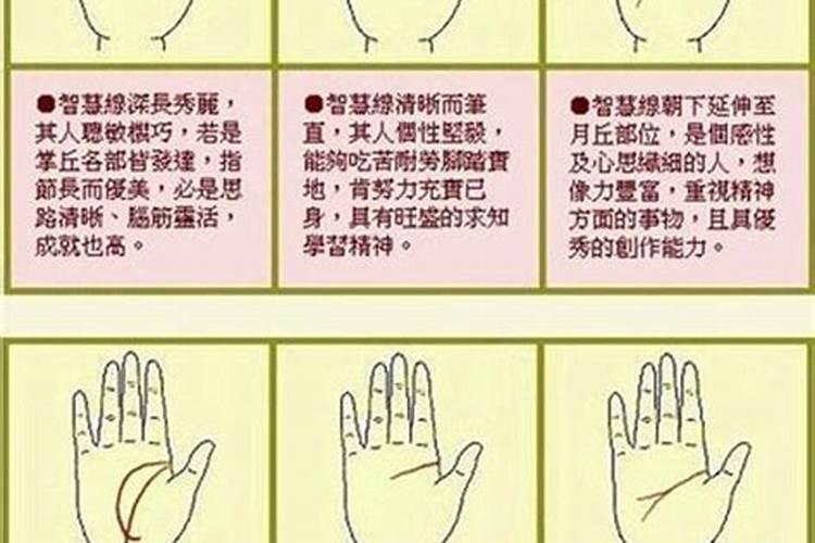 看手相算命的软件