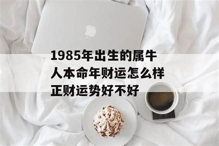 1985年属牛人2025年运势运程