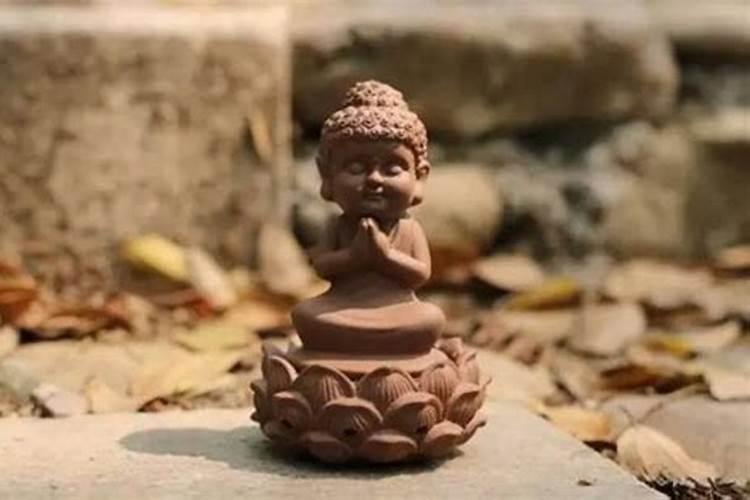 放生对孩子学业有帮助吗