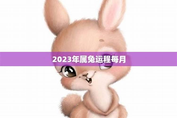 2025属兔的几月有一难