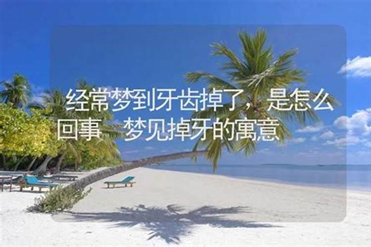 81年生肖鸡运程如何
