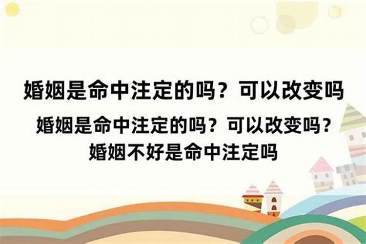 十二生肖相冲相克