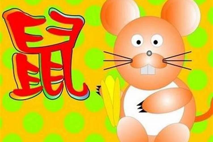 ...那天正好是立春,我在立春之后出生,请问我的属相是鼠还是牛...