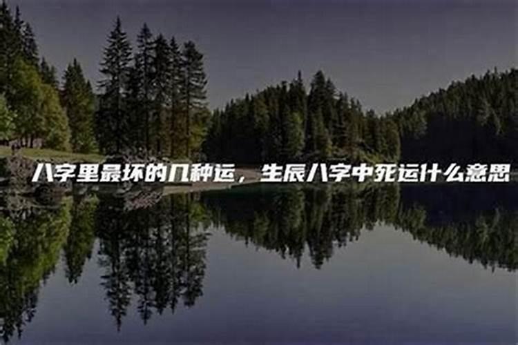 董易奇十二生肖2025运程