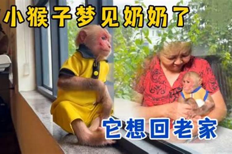 字谜:八月十五,猜一个字