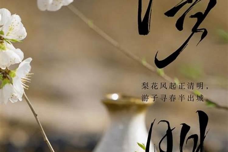 属蛇人出生在几月最好