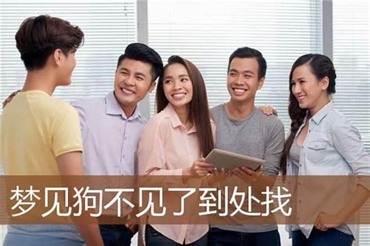 梦见我的狗丢了到处找没找到