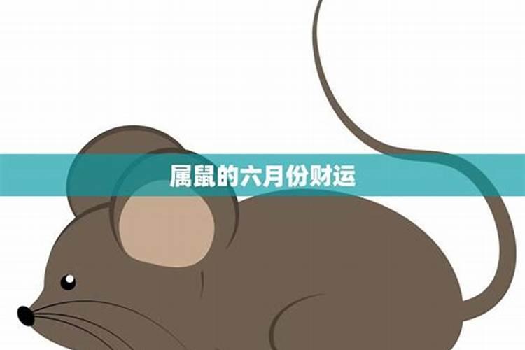 生肖鼠2025年运势 属鼠2025年运势及运程