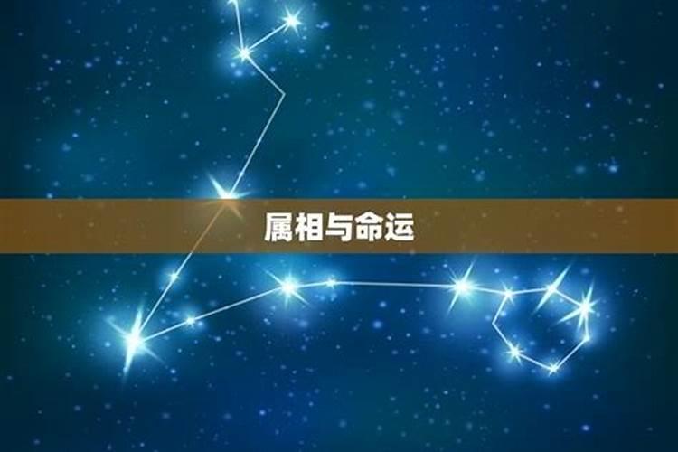 合婚看八字还是属相看八字