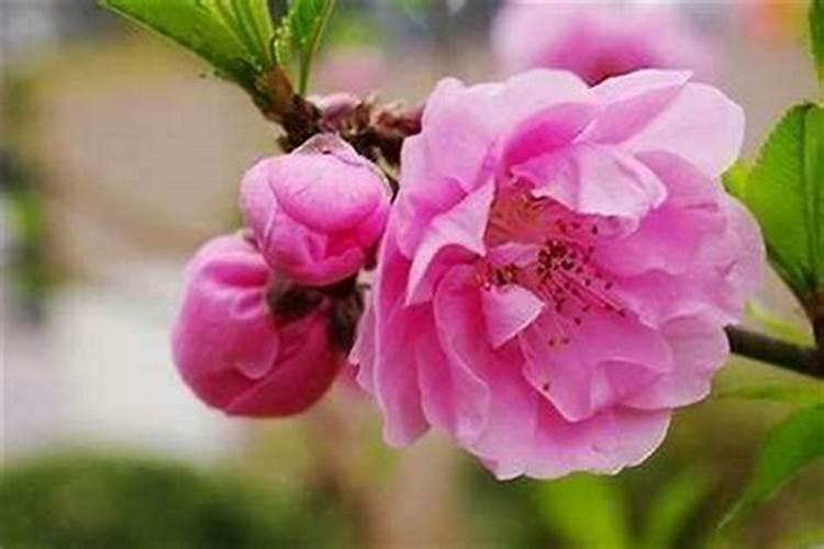 家里添孩子会有老人走