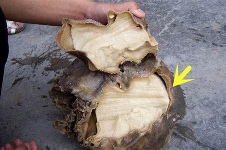 偏财运太差怎么破解 提升偏财运的方法分析