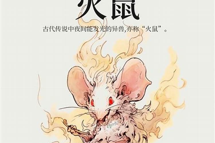 属虎的配鼠的好不好？
