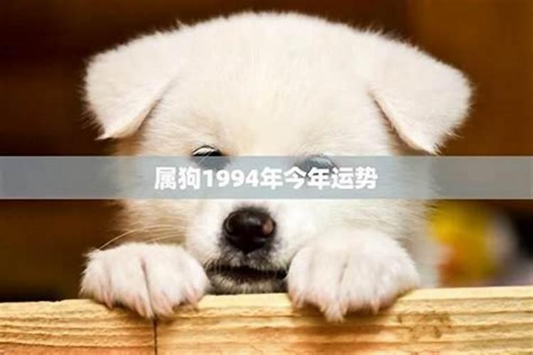 本命年今天多大
