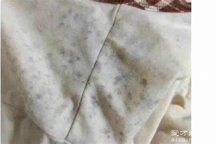 梦见自己的衣服发霉