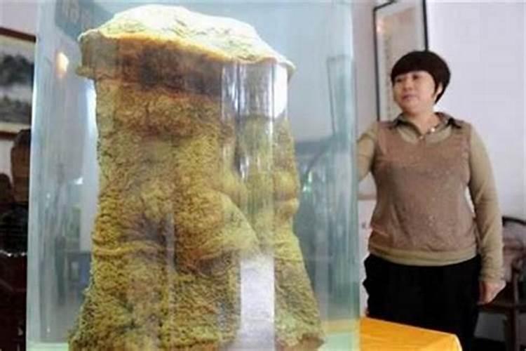 太岁金怎么烧
