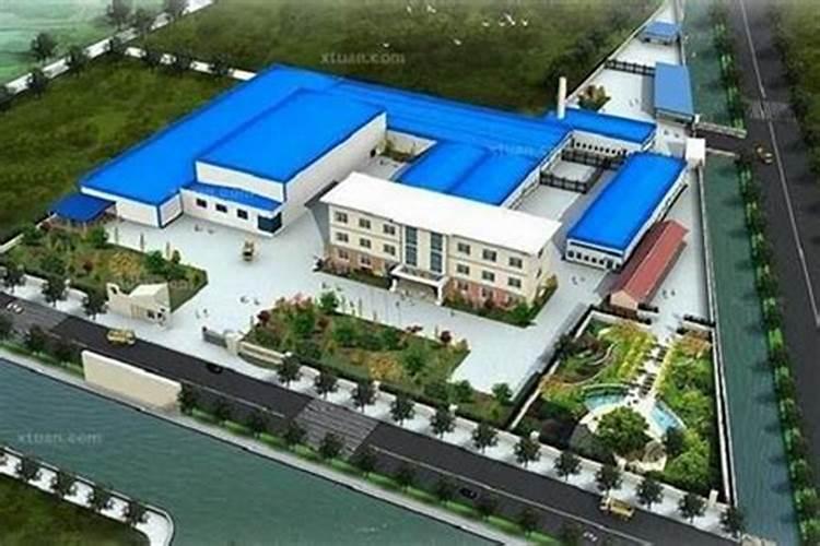 2025属羊犯太岁吗