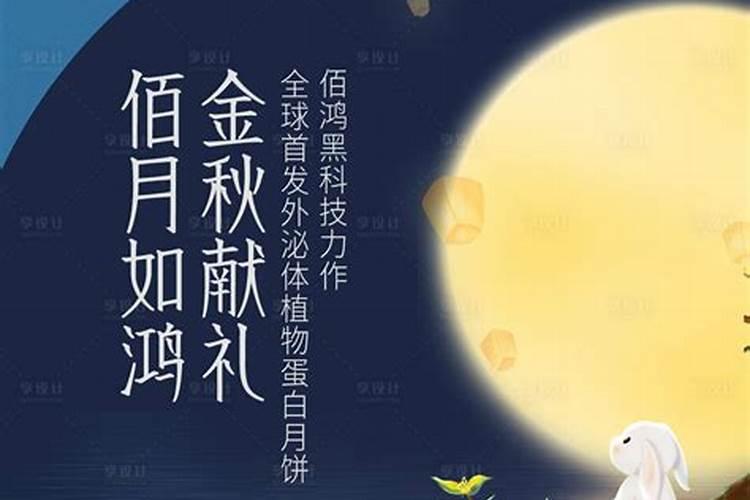 203年十二生肖运程