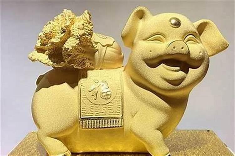 属猪家里摆放什么最旺财