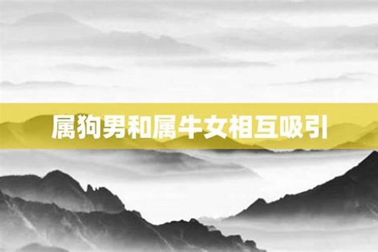 属狗和属狗能长久恩爱下去吗