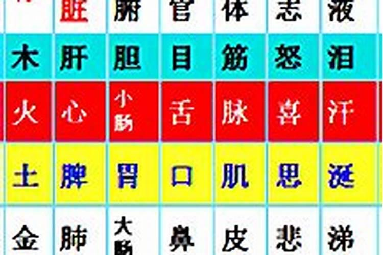 怎样根据一个人的脸型确定出生时辰？