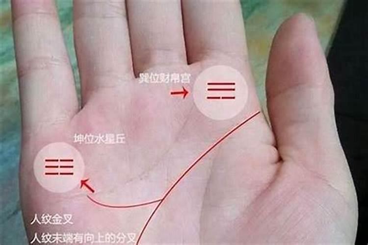 八字无财大运逢财 八字无财是什么意思