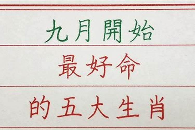 属猪的,1983年农历九月初九是什么命