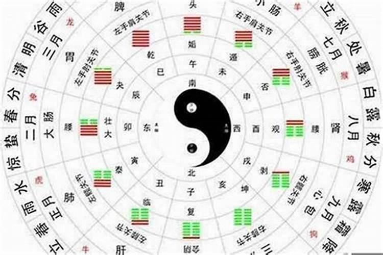 双木夫妻难相合 婚姻详解？