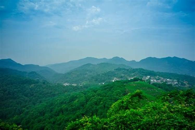 天水玉兰花观赏地