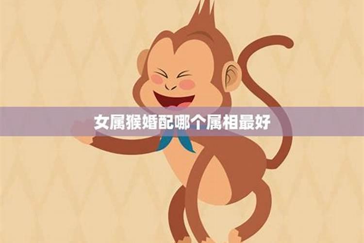 属猴最佳婚配前十名属相,属猴的和什么属相配偶好