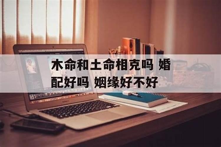 男木女土的婚姻 齐心协力亲密无间
