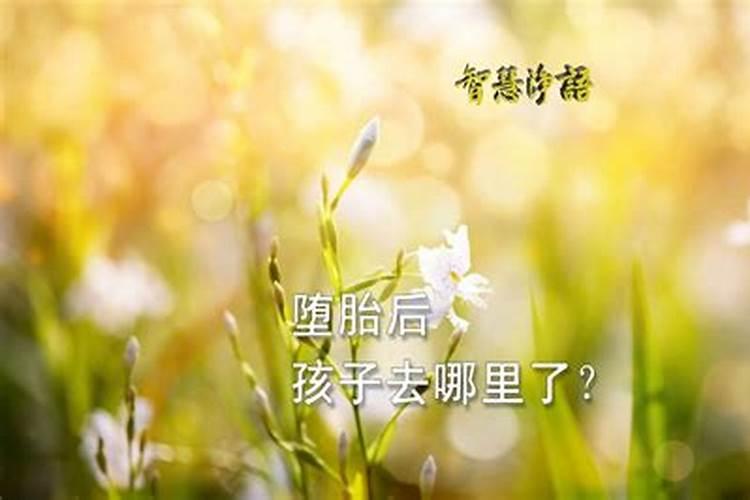 一九六六年三月十五日丑时生人命运