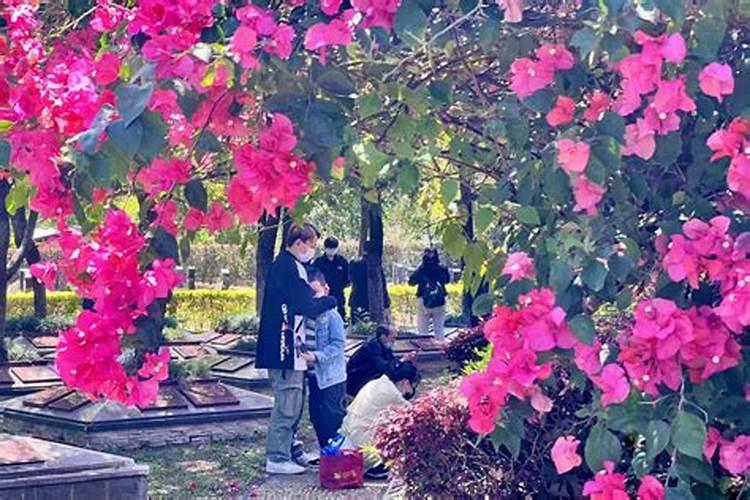 去世后头三年清明节上坟时间