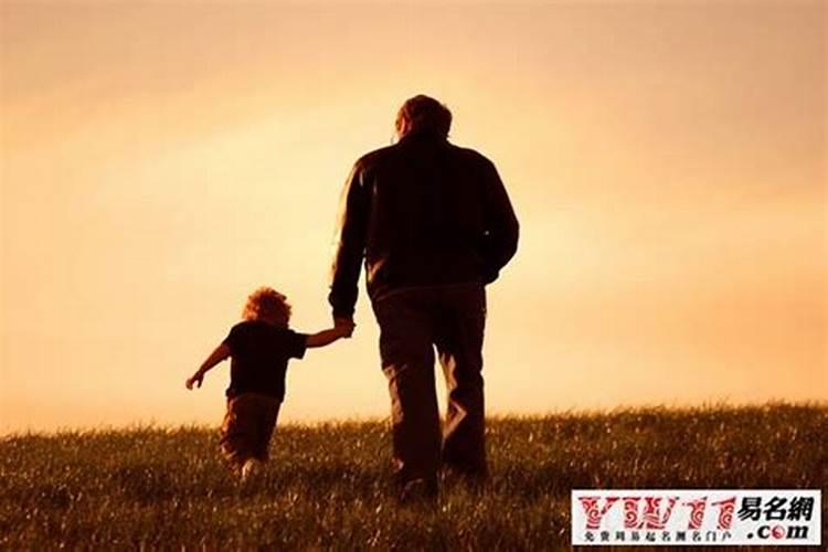 70年的狗男在2025年的运势如何