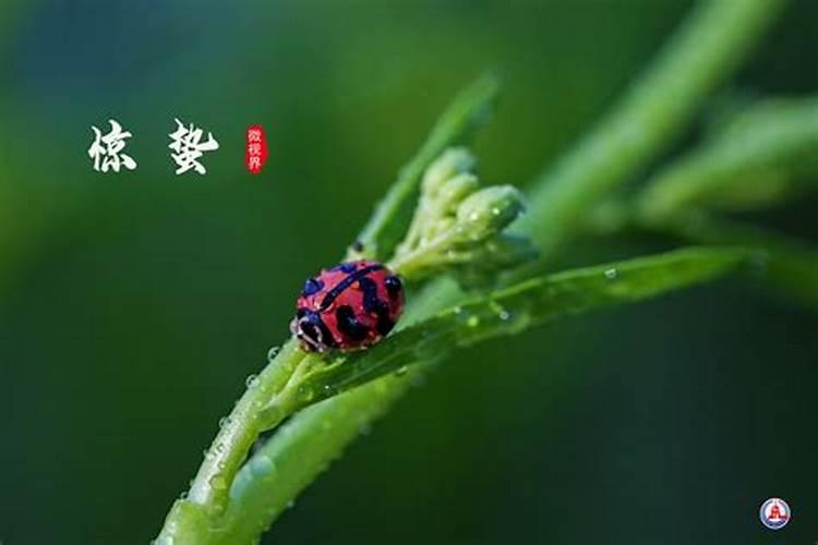 除夕过了12点能否关灯？
