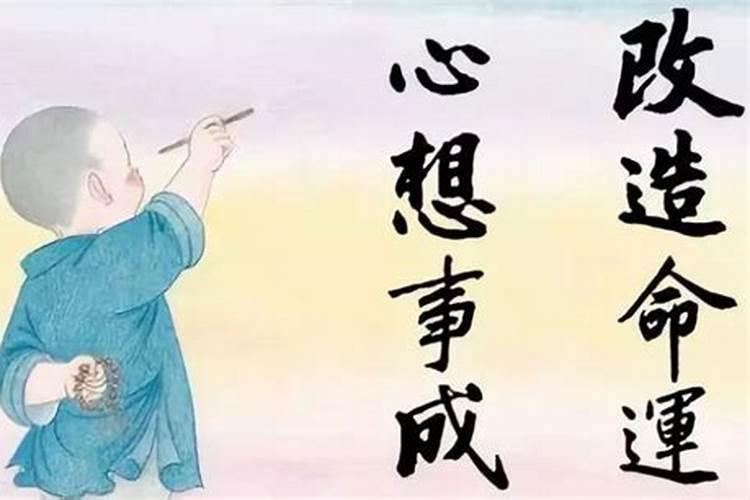 74年属虎明年怎么样