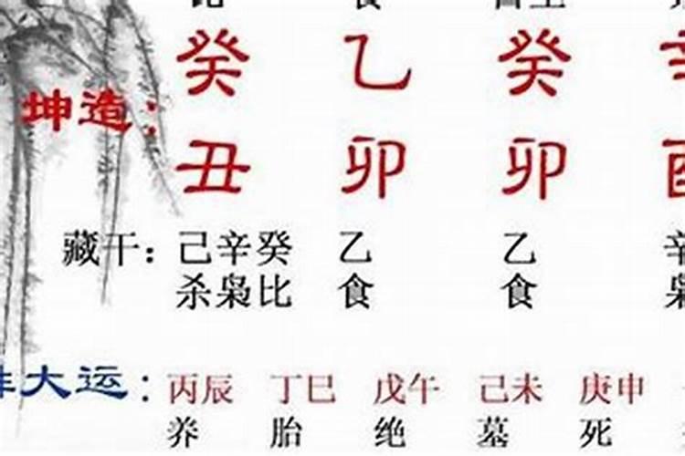 属马人哪一年犯太岁最严重,各方面运势如何