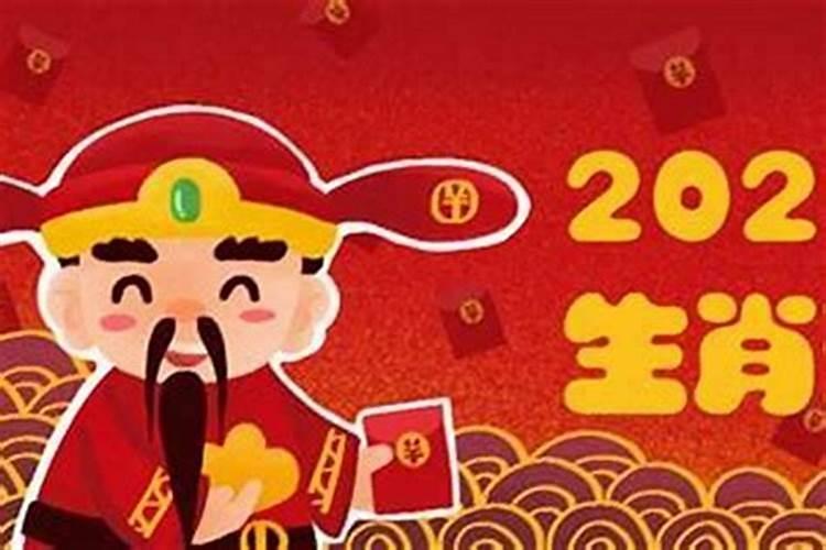 属马人哪一年犯太岁最严重,各方面运势如何