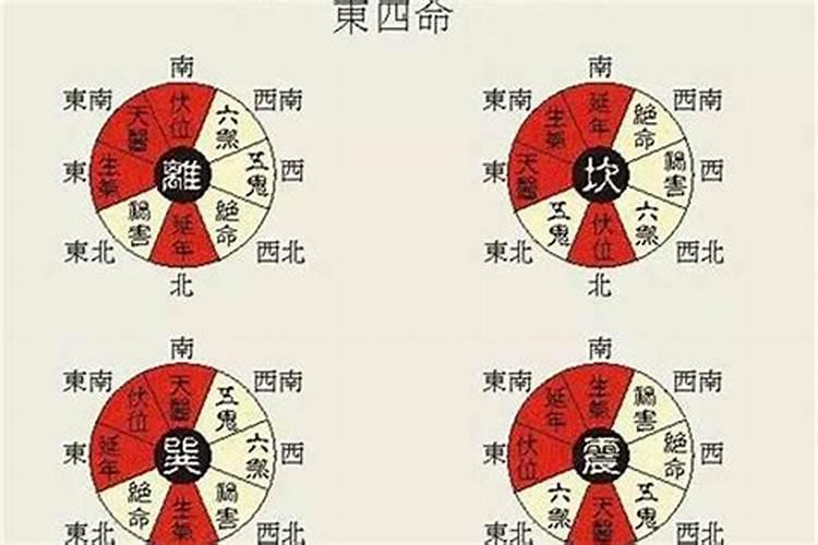 东四命男和西四命女 相互吸引互帮互助