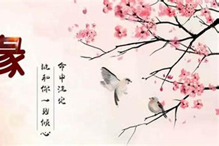 男女婚姻匹配度测试,男女婚姻是否匹配的的9个条件麻烦告诉我百度知 ...