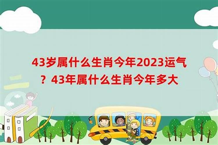 43年出生属羊人79岁逢九如何破解