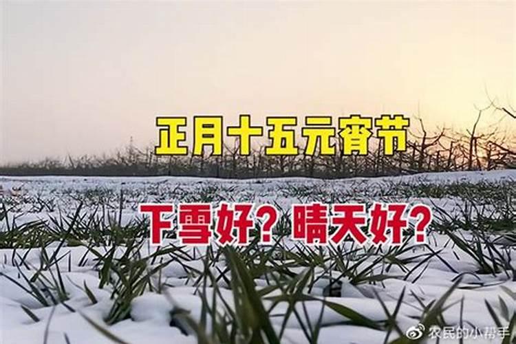 正月十五下大雪预示什么