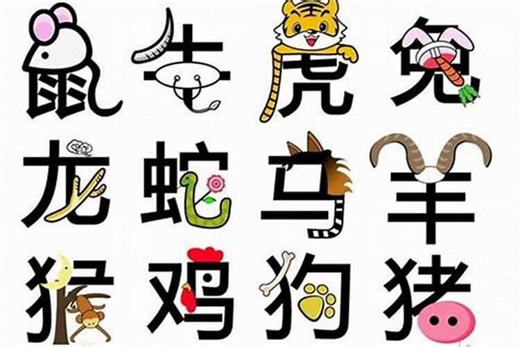 1988年10年大运属龙运势稳定