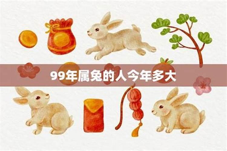 属兔女配什么属相最好