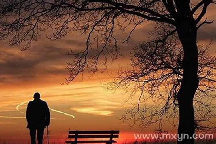 除夕夜要吃什么
