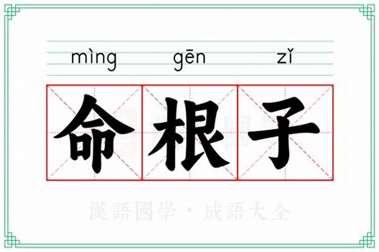 手上长根白毛看手相算命